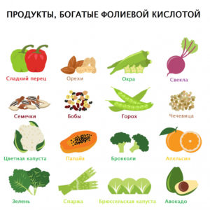 фолиевая кислота в каких продуктах