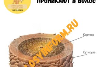 Как краски и масла проникают в структуру волоса