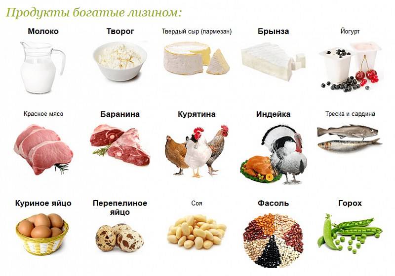 Лизин в продуктах питания