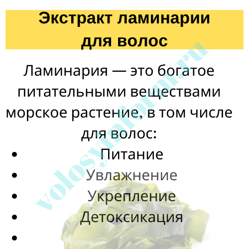 Чем полезен экстракт ламинарии для волос